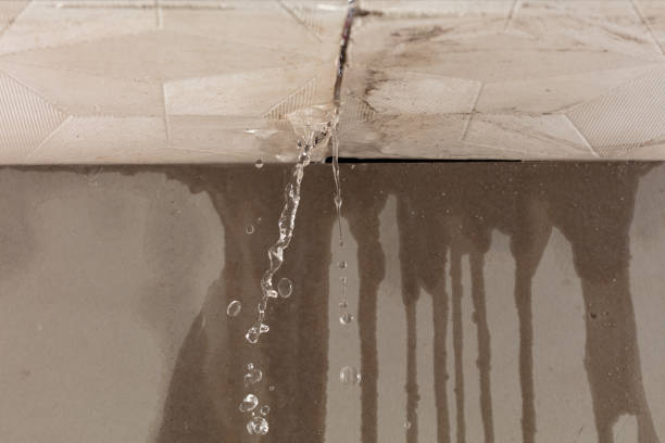 Professional Burst Pipe Cleanup technician working in Athens, IL